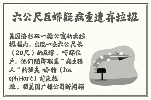 色天堂饮件